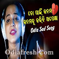 To Pain Janama Janamaku Karibi Apekhya - Odia Sad Song By Asima Panda